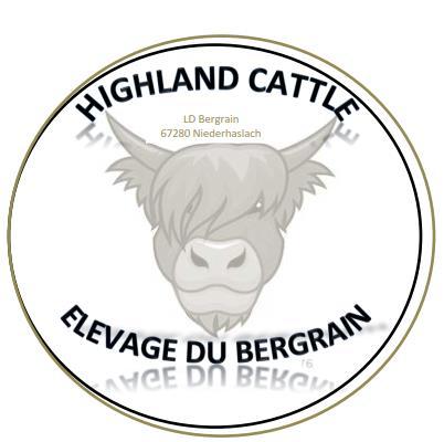 Logo highland 1